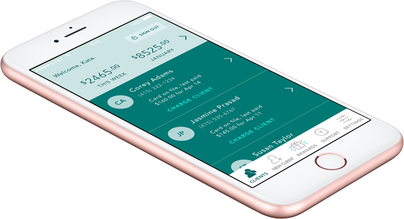 an iPhone displaying the Ivy Pay app